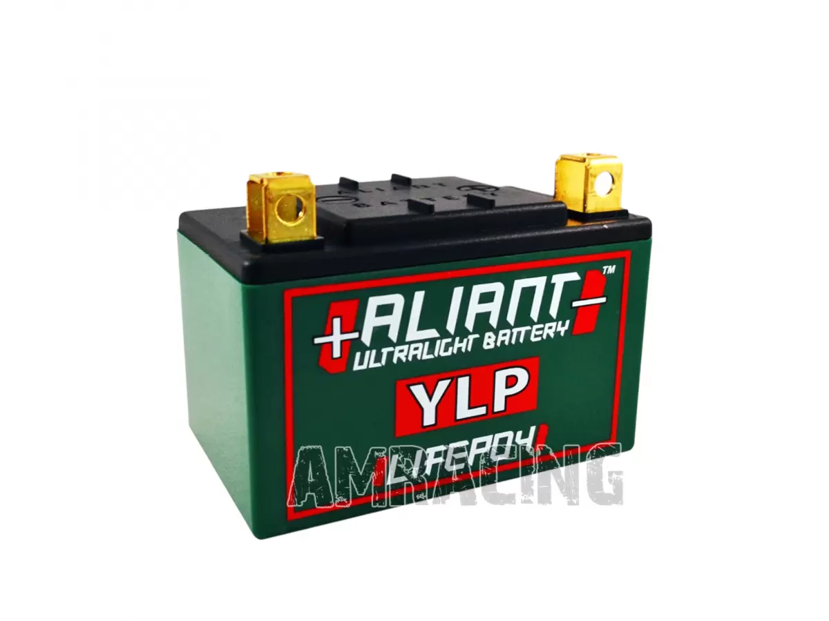 BATERIA ALIANT YLP05B 12V 5AH (322000021)